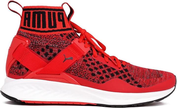 Puma Ignite EvoKNIT (45)