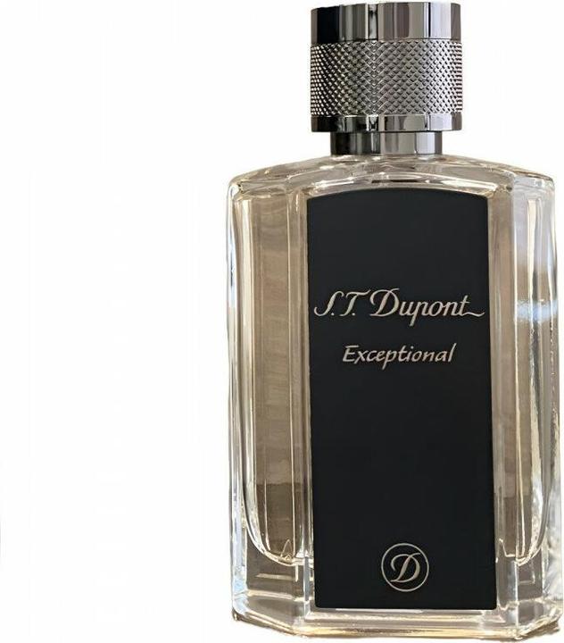 Produktbild S.T. Dupont ST DUPONT Exceptional EDP spray 100ml (Eau de Parfum, 100 ml)