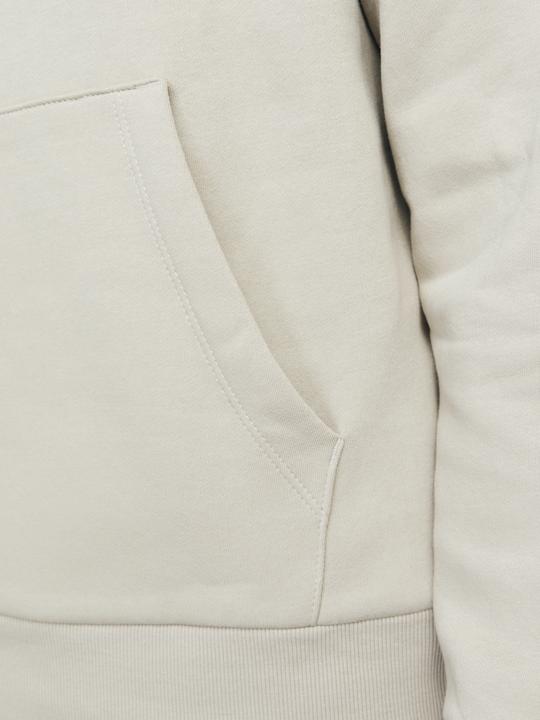 Actual product image Jack & Jones Logo hooded jumper Hooded jumper (XXL)