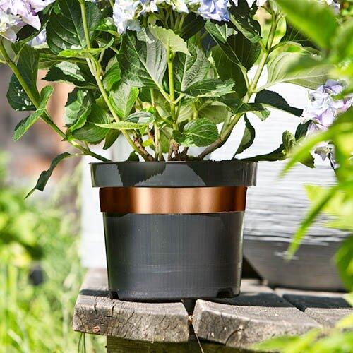 Produktbild Windhager Schnecken-Abwehrband