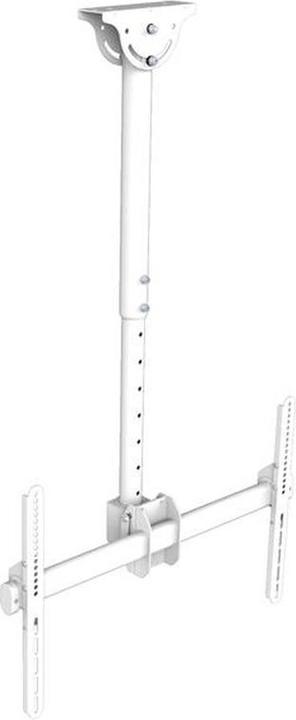 Image du produit Xantron DT Deckenhalterung DEHA-946S-W (Plafond, 70")