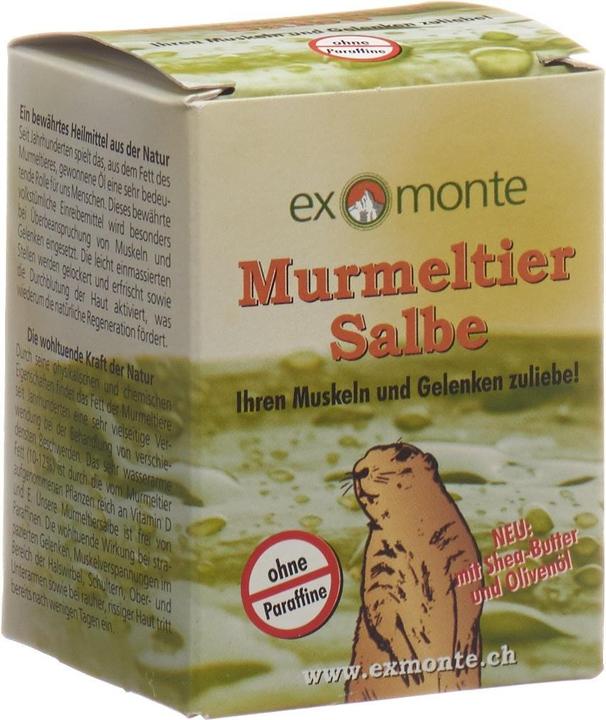 Actual product image Exmonte Marmot ointment, 100 ml (1 x, 100 ml, 262 g)