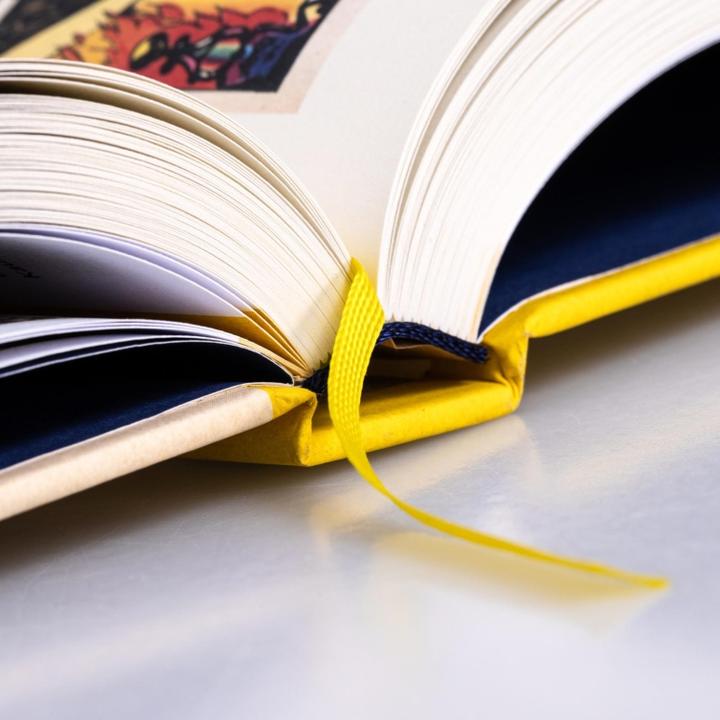 Productafbeelding Die Bibliothek der Comic-Klassiker: Fix und Foxi und Co (Duits, 2023)