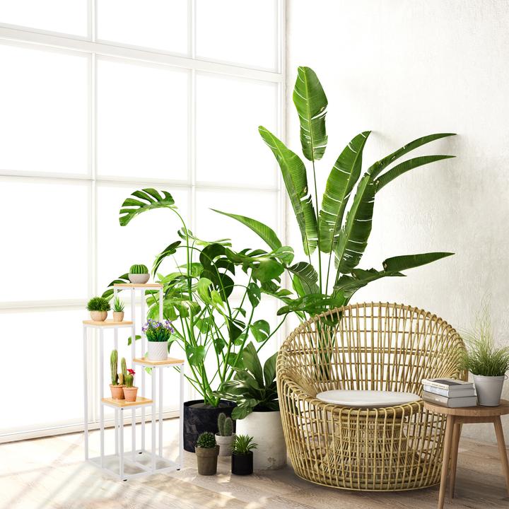 Image du produit Relaxdays Support pour plantes avec 4 étagères 80 x 40 cm, Nature/Blanc