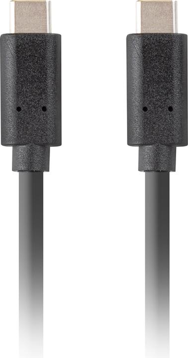 Actual product image Lanberg USB C – USB C (1 m, USB 3.1, 100 W)