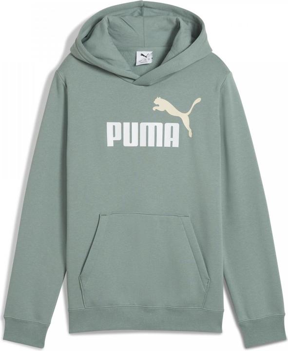 Image du produit Puma ESS 2 COLOR No. 1 Logo Hoodie FL B (140)