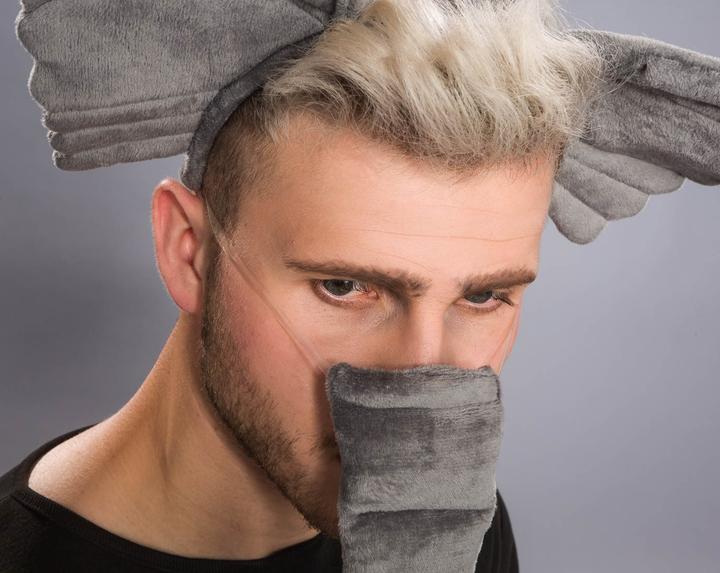 Actual product image Festartikel Müller Elephant set: Headband with ears, trunk, tail