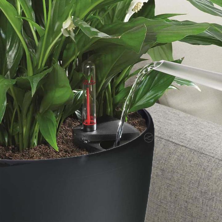 Produktbild Lechuza Classico (28.50 cm)