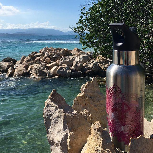 Actual product image Carl Oscar Stainless Steel Thermos Wisdom TEMPflask 500ml Pink (0.50 l)