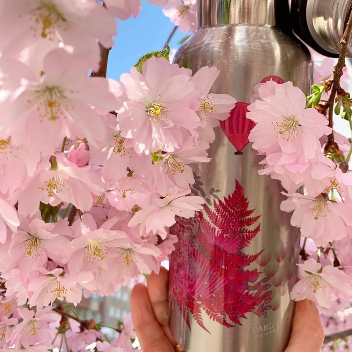 Actual product image Carl Oscar Stainless Steel Thermos Wisdom TEMPflask 500ml Pink (0.50 l)