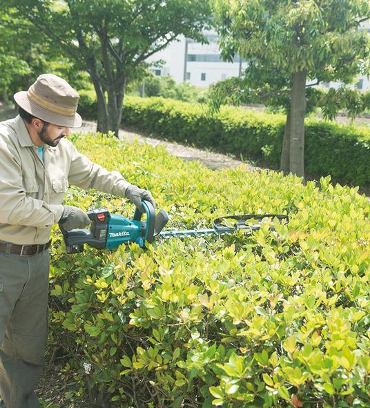Immagine prodotto Makita DUH751Z (Tagliasiepi a batteria)