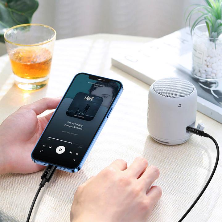 Image du produit Belkin Charge/Sync Cable (1.20 m, Lightning)