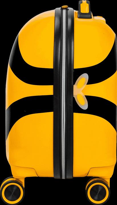 Actual product image Swissbags S (36 l, Hand luggage (up to 50 litres))