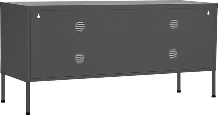 Actual product image VidaXL Everett (105 x 35 x 50 cm)