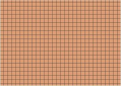 Image du produit Exacompta Fiches quadrillées orange, 100 (A6, 205 g/m², 100 x)