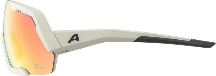 Immagine prodotto ALPINA SPORTS Rocket QV (Grigio freddo opaco, Oro)