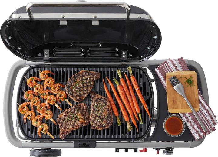 Immagine prodotto Weber Viaggiatore (3.80 kW)
