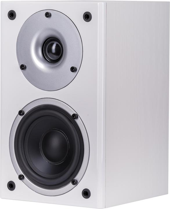 Produktbild Wilson Raptor Mini (1 Paar)