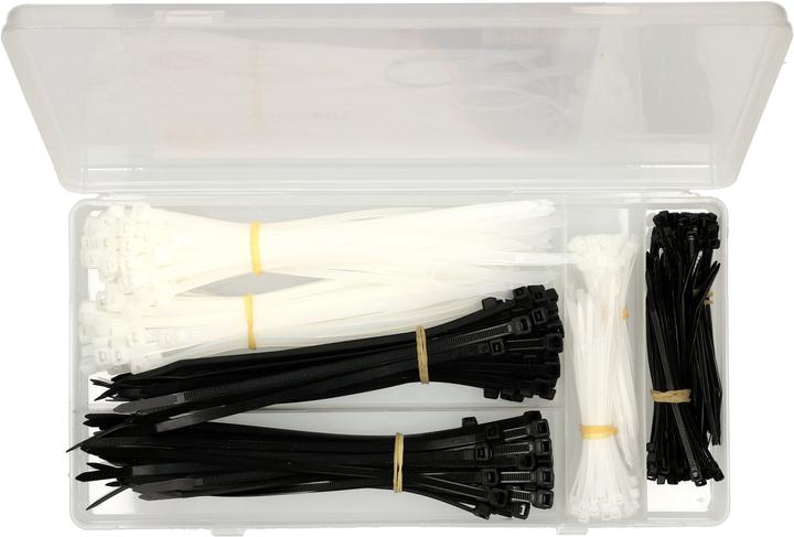 Actual product image Max Hauri Cable tie case (Plastic cable ties, 300 mm, 1 pcs.)