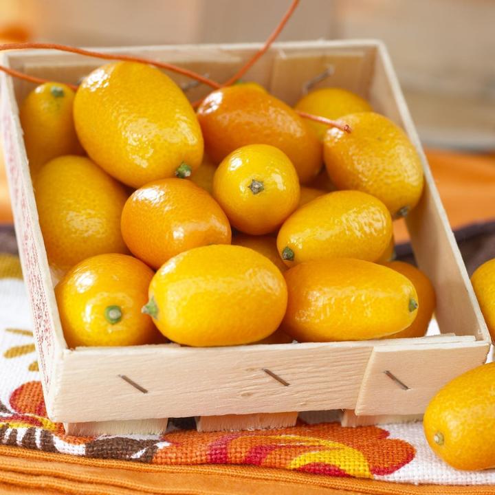 Produktbild Kumquat (65 cm)