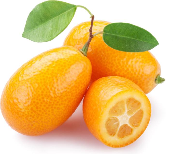 Produktbild Kumquat (65 cm)