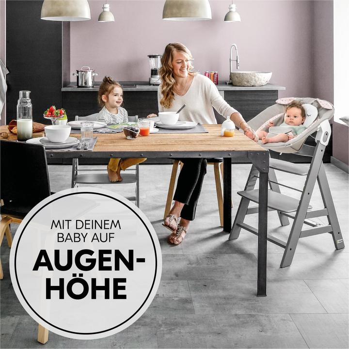 Produktbild Hauck Alpha Bouncer