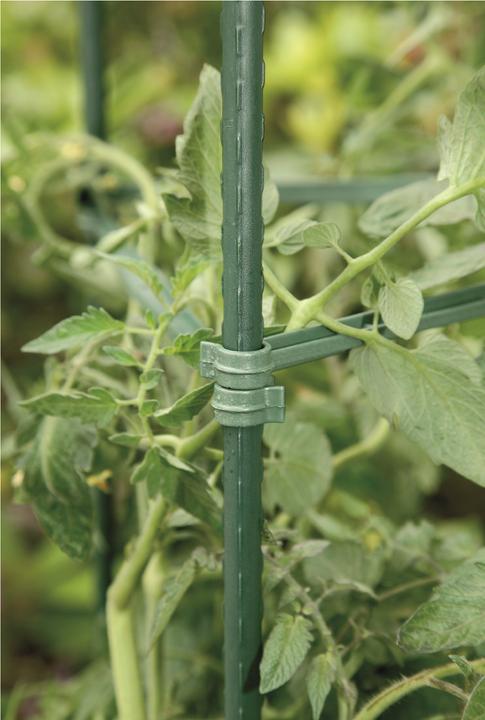 Actual product image Windhager Tomato tower (30 cm, 30 cm)