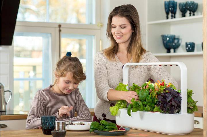 Actual product image Click and Grow Smart Garden 9 (62.50 cm)