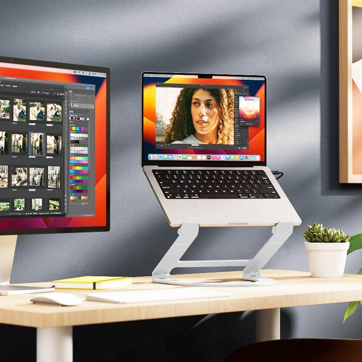 Actual product image TwelveSouth Curve Flex