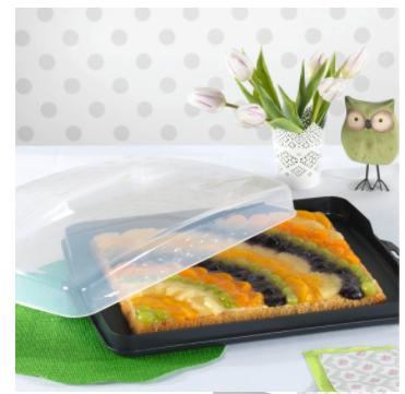 Actual product image Xavax cake transport box Tin cake transport box