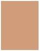Actual product image Sisley Phyto-Teint Ultra Éclat (4 Honey)