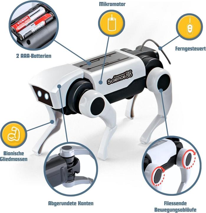 Actual product image Hermex Robot dog