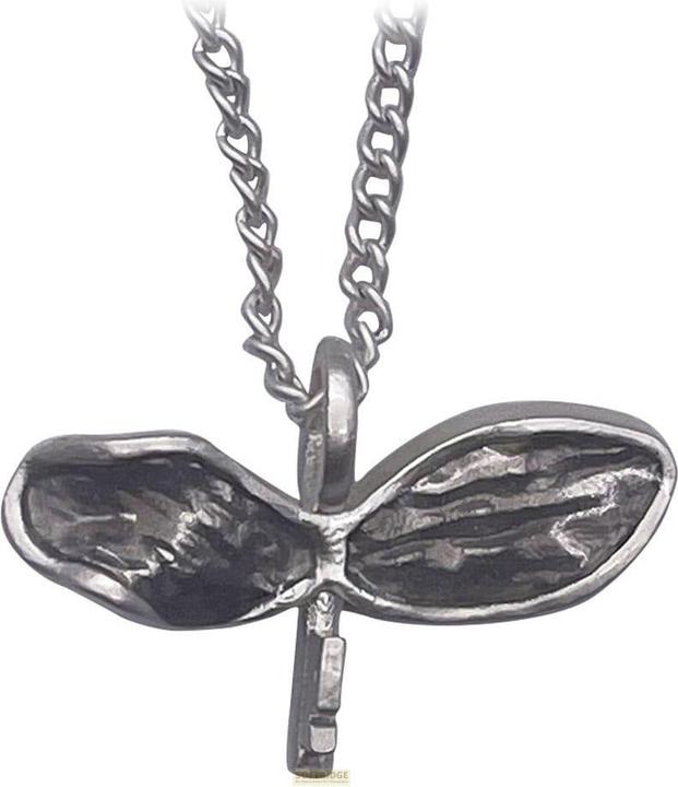 Produktbild Fanattik Harry Potter Halskette & Anhänger Flying Key