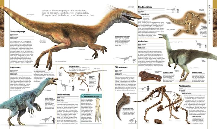 Image du produit Dinosaurier und andere Lebewesen der Urzeit (Allemand, Christopherua, Thomas, Jennifer/Duffin, BarryA/Clack, 2020)