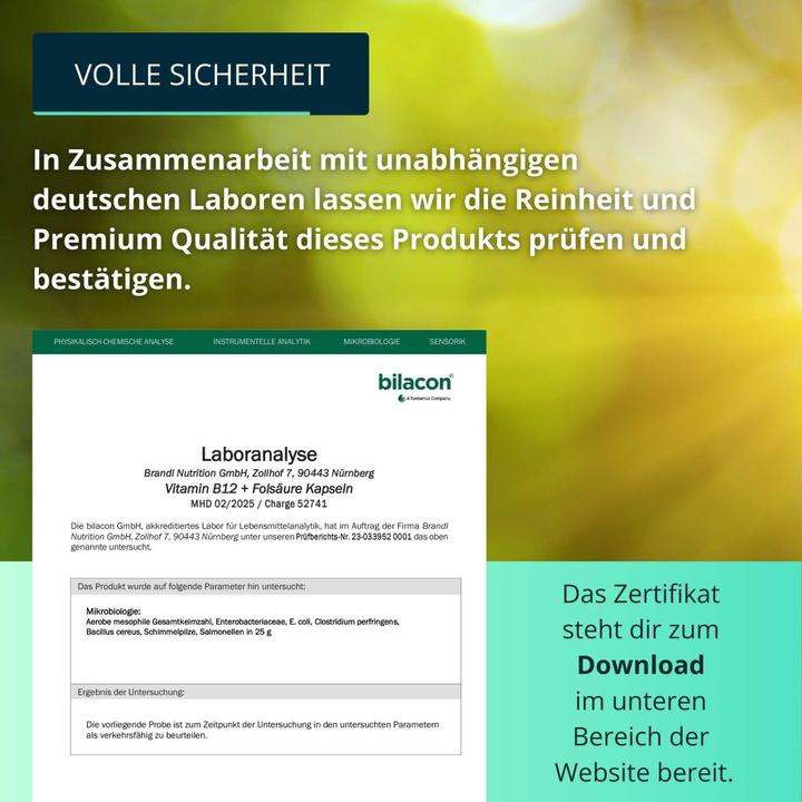 Produktbild Brandl-Nutrition Vitamin B12 Folsäure (1 Stück, Kapseln, 45 g)