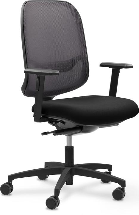 Produktbild Giroflex 300 online