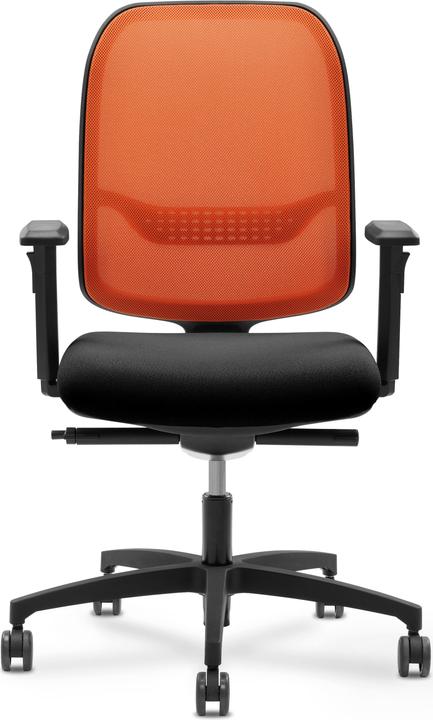 Actual product image Giroflex 300 online
