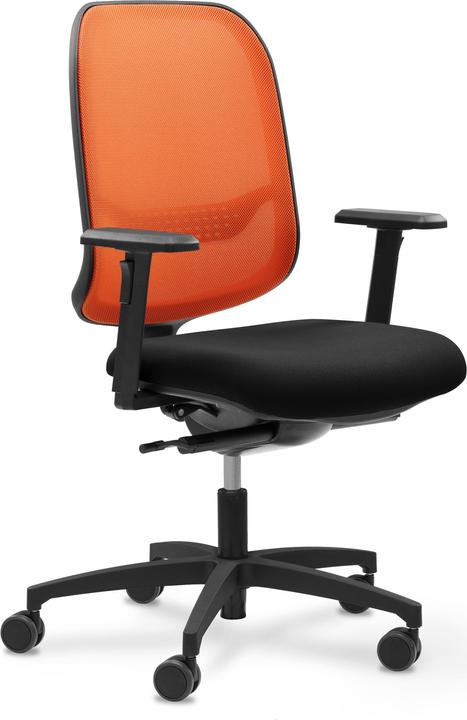 Actual product image Giroflex 300 online