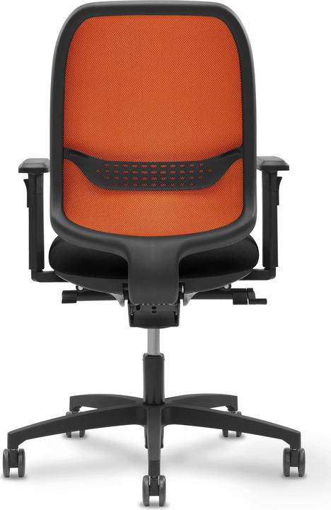 Actual product image Giroflex 300 online