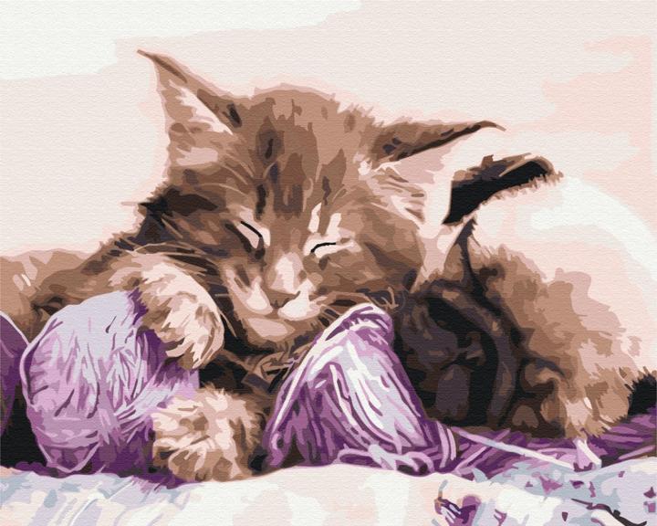 Actual product image Syma Picture Paint it! Painting by numbers Cat and dog