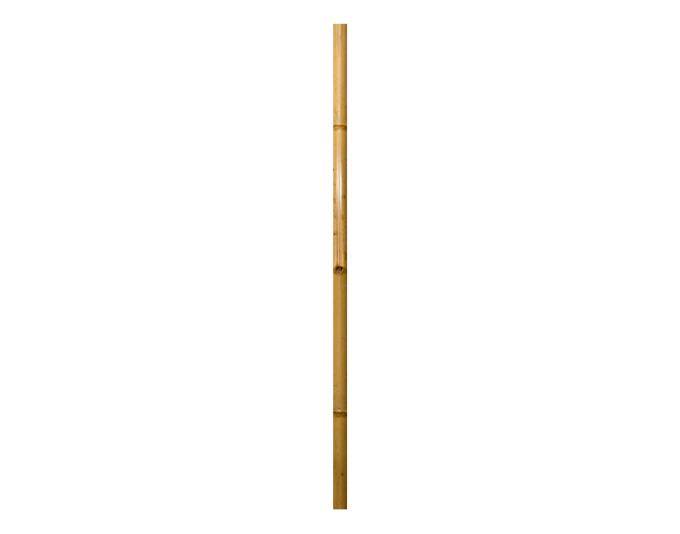 Windhager Bambus-Rohr