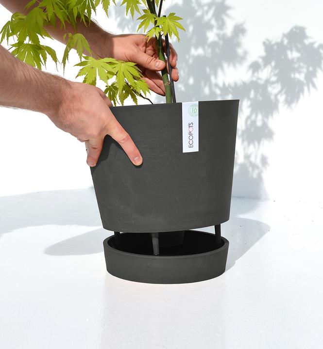 Actual product image Ecopots Venice (30 cm)
