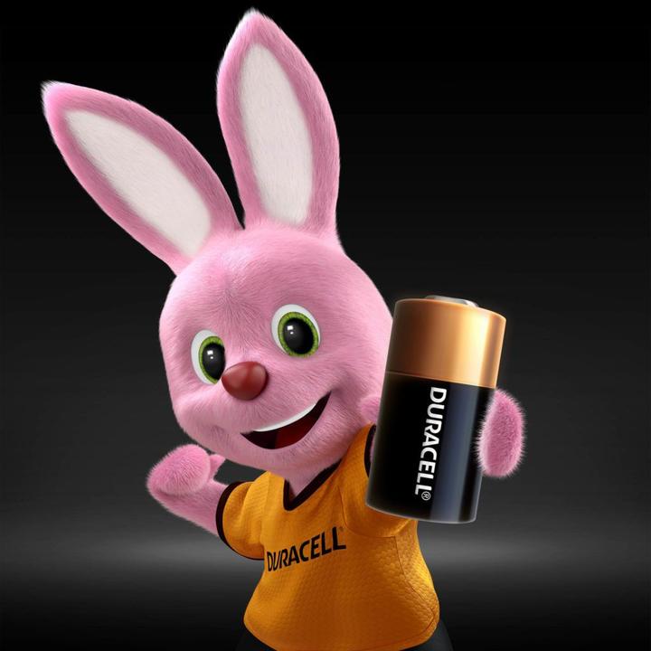 Actual product image Duracell Photo (1 pcs., 28L, 150 mAh)