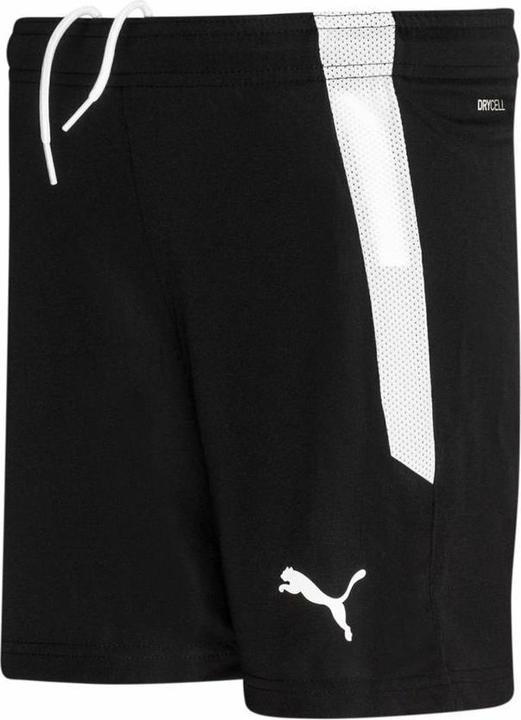 Image du produit Puma short teamLIGA Jr-704931 (128)