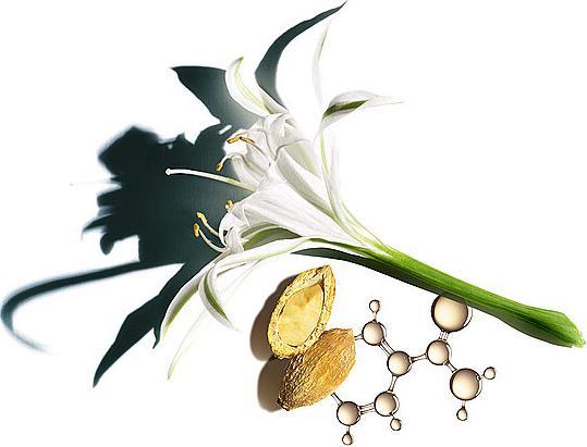 Produktbild Clarins Nutri-Lumière SPF 15 Toutes Peaux (50 ml, Tagescreme, SPF 15)