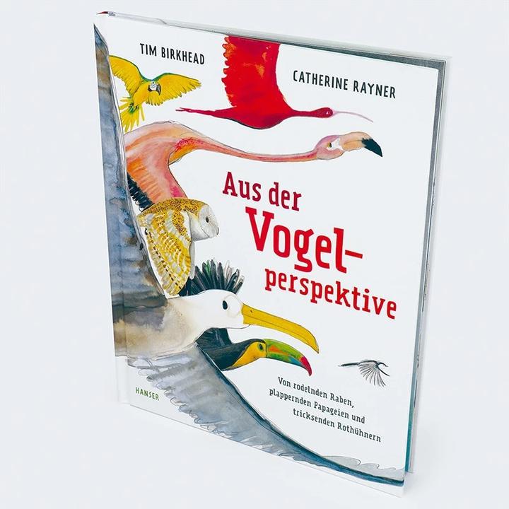 Actual product image Aus der Vogelperspektive (German, Tim Birkhead, Catherine Rayner, Rita Gravert, 2023)