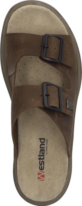 Immagine prodotto Westland 45804-348 (45)