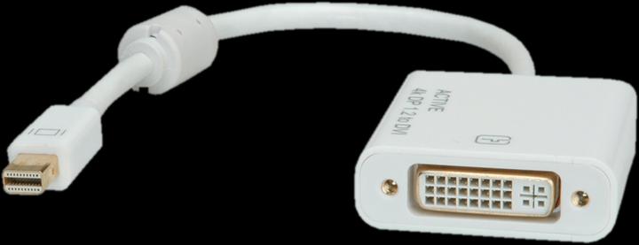 Image du produit Roline Mini DisplayPort vers DVI (VGA, 10 cm)