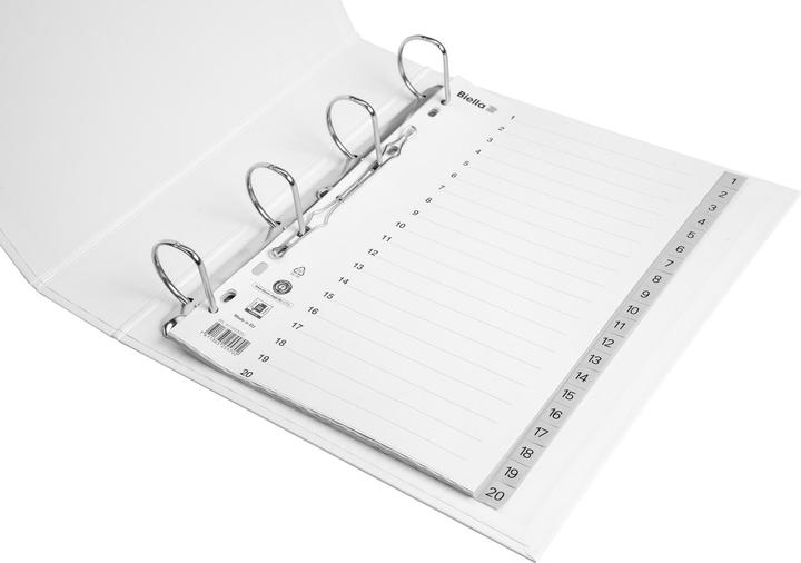 Image du produit Biella Index en taille réelle en PP, gris clair, avec feuille d'index
