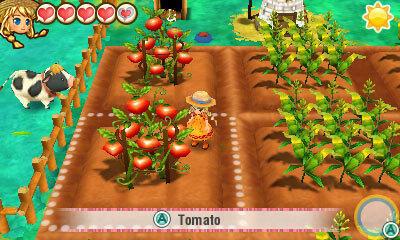 Actual product image Nintendo Story of Seasons: Trio of Towns -EN- (3DS, EN)